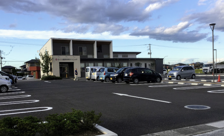 さくら整形外科クリニック